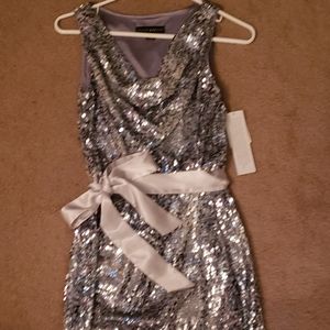 Silver Sequin Dress